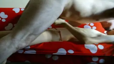 Live ABG Jakarta Bispak Hotel Bintang Lima Terekam Skandal Viral